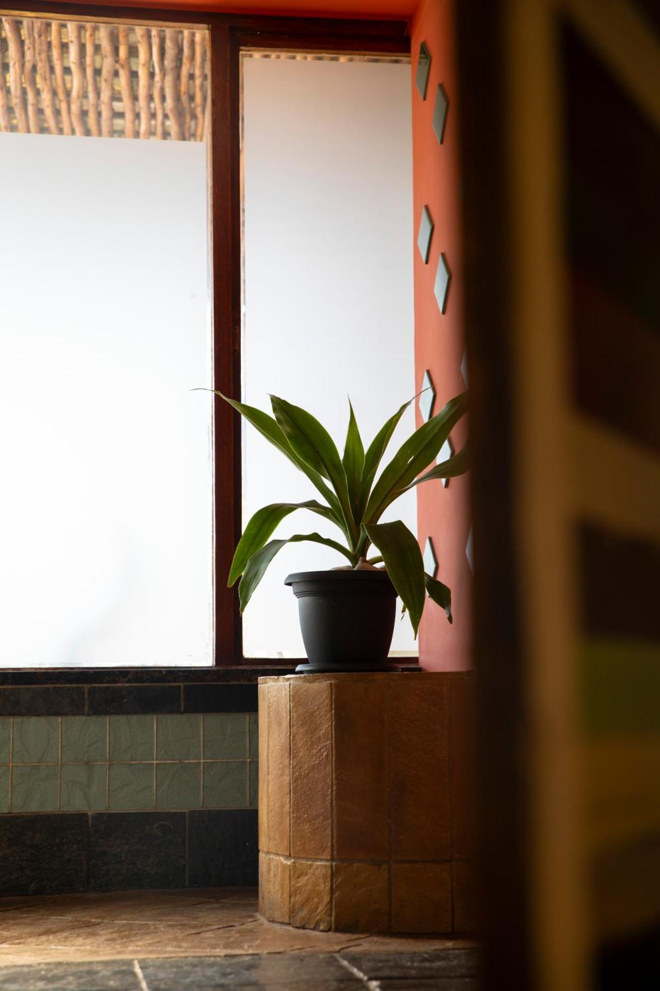 Ami Vine House Hotell Cape Town Eksteriør bilde