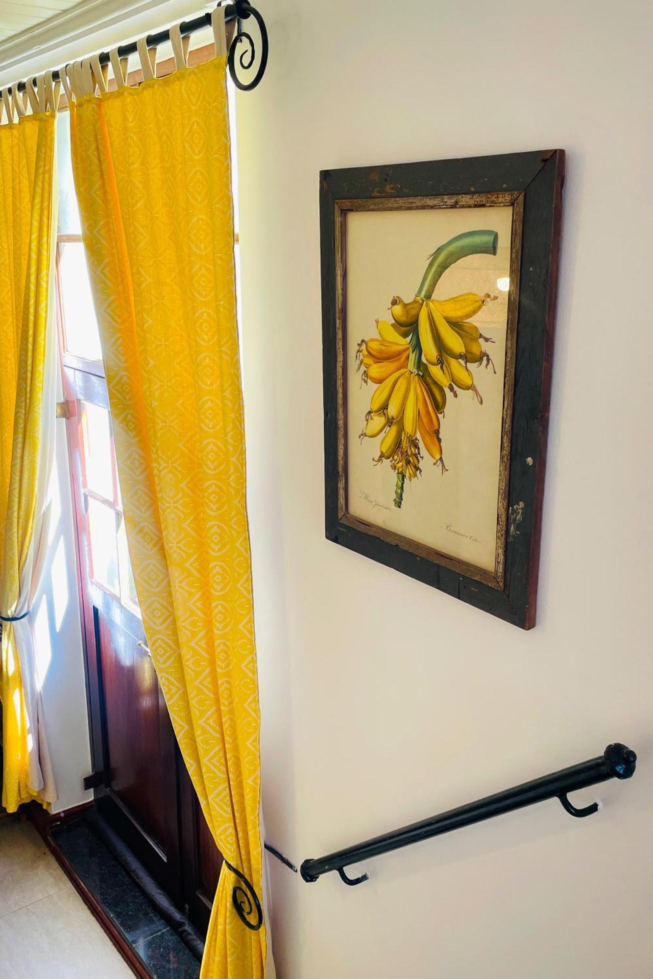 Ami Vine House Hotell Cape Town Eksteriør bilde