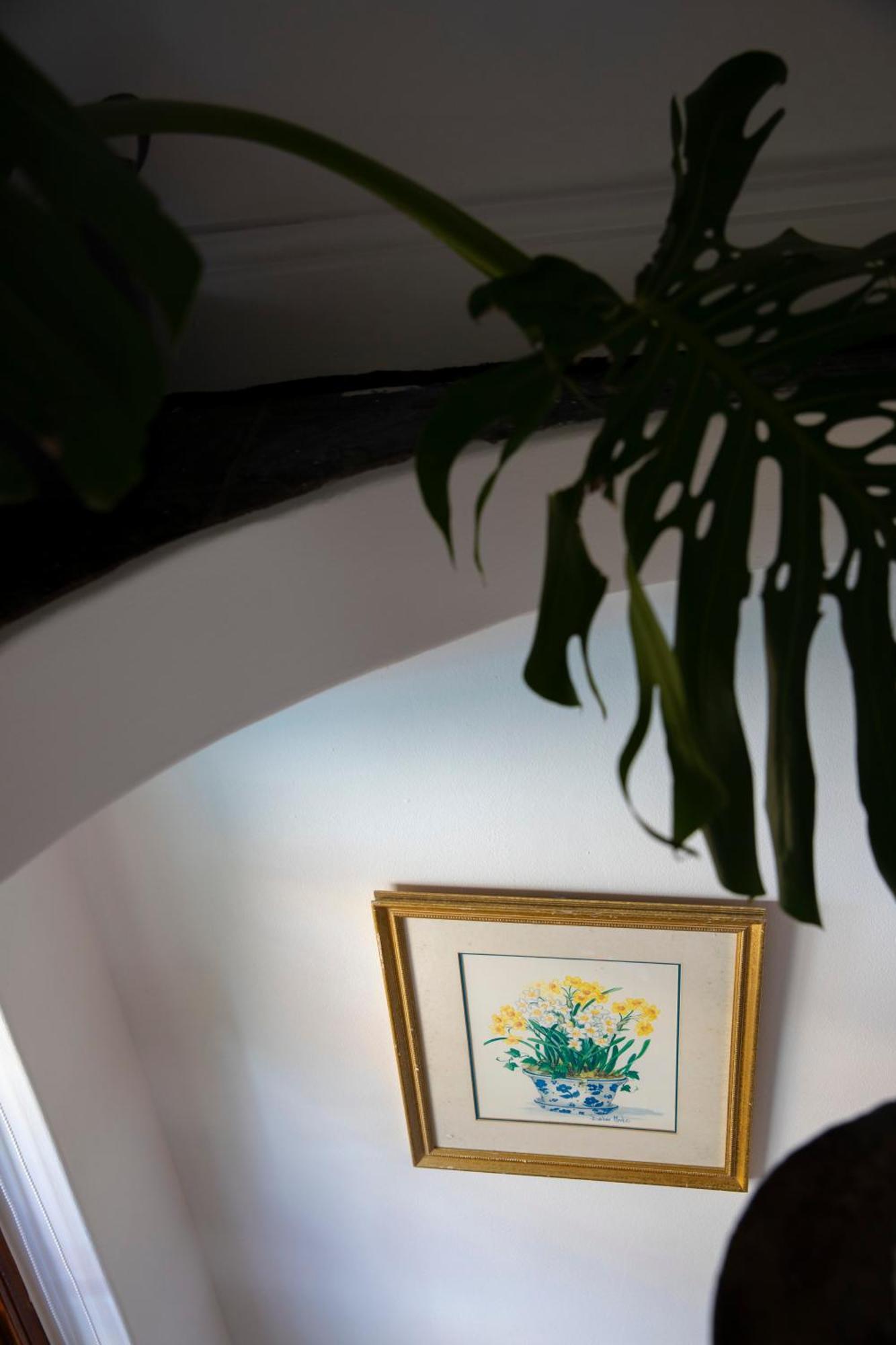 Ami Vine House Hotell Cape Town Eksteriør bilde